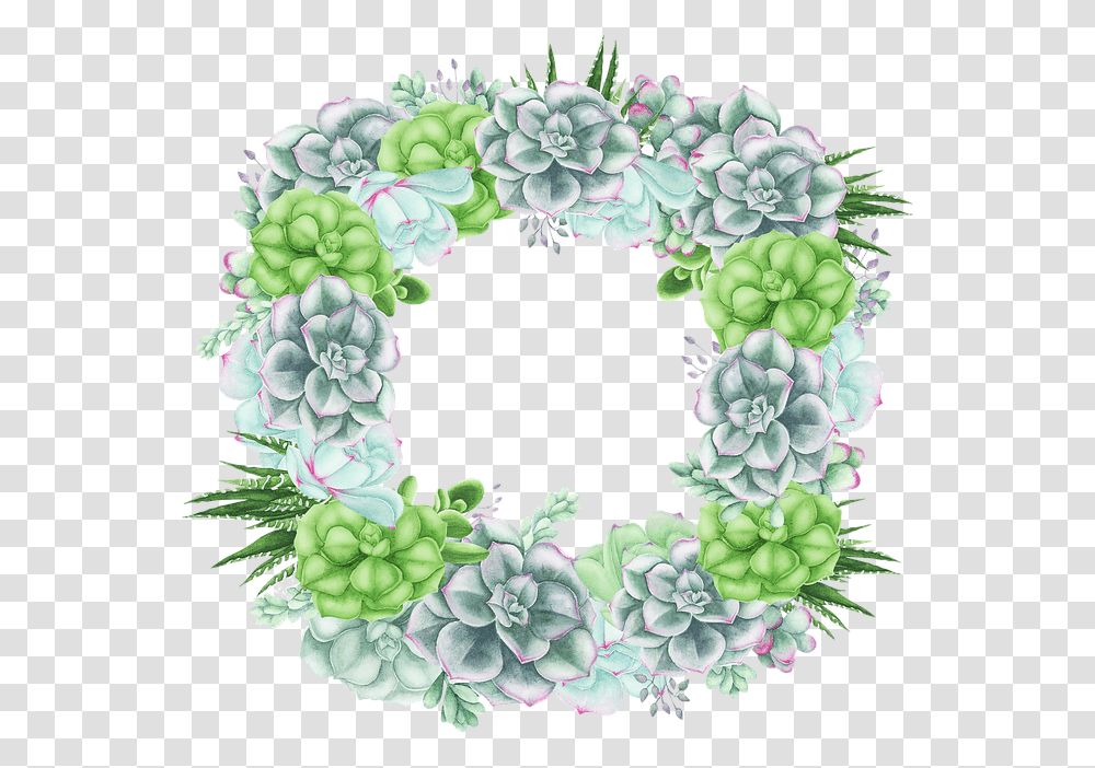 Succulent Rectangular Cactus Cacti Floral Plant Hydrangea, Wreath, Pattern Transparent Png