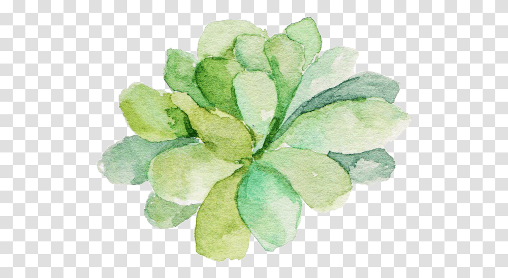 Succulent Svg Royalty Free Library Paint Watercolor Succulents, Leaf, Plant, Flower, Blossom Transparent Png