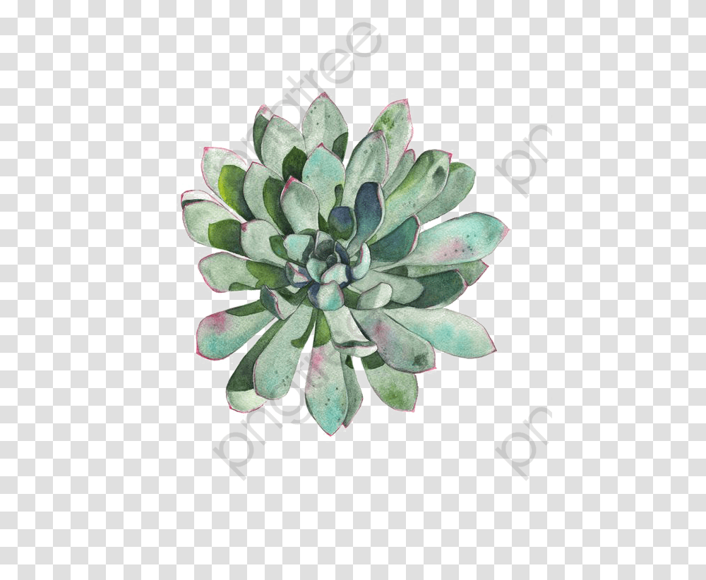 Succulent Wreath Clipart Succulent Clip Art, Plant, Floral Design, Pattern Transparent Png