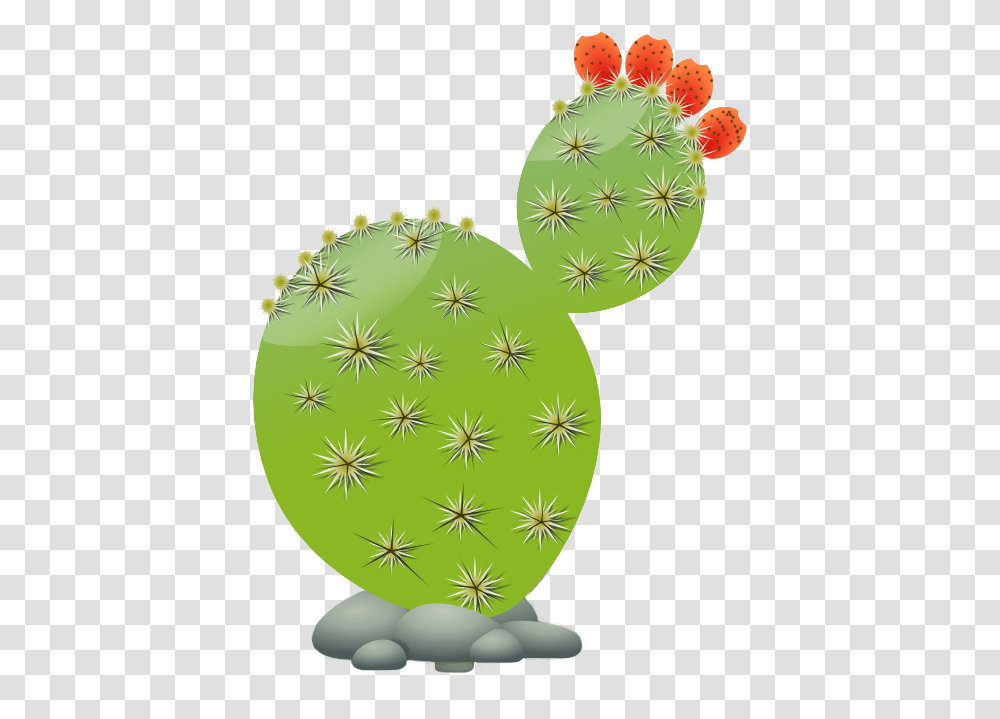 Succulents And Cactus Cactaceae Clip Art Prickly Pear Cactus Clip Art, Plant Transparent Png