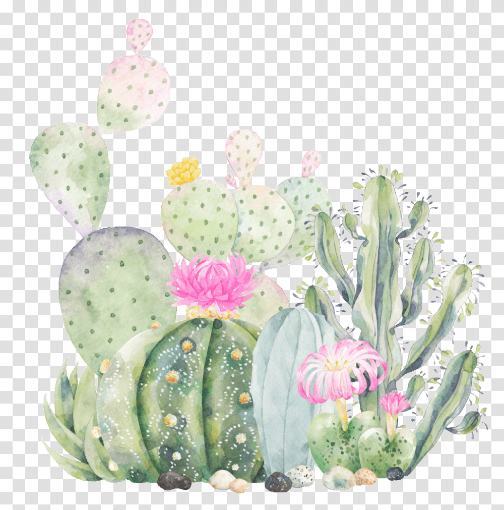 Succulents Clipart Quotes About Broken Verse, Plant, Cactus, Birthday Cake Transparent Png