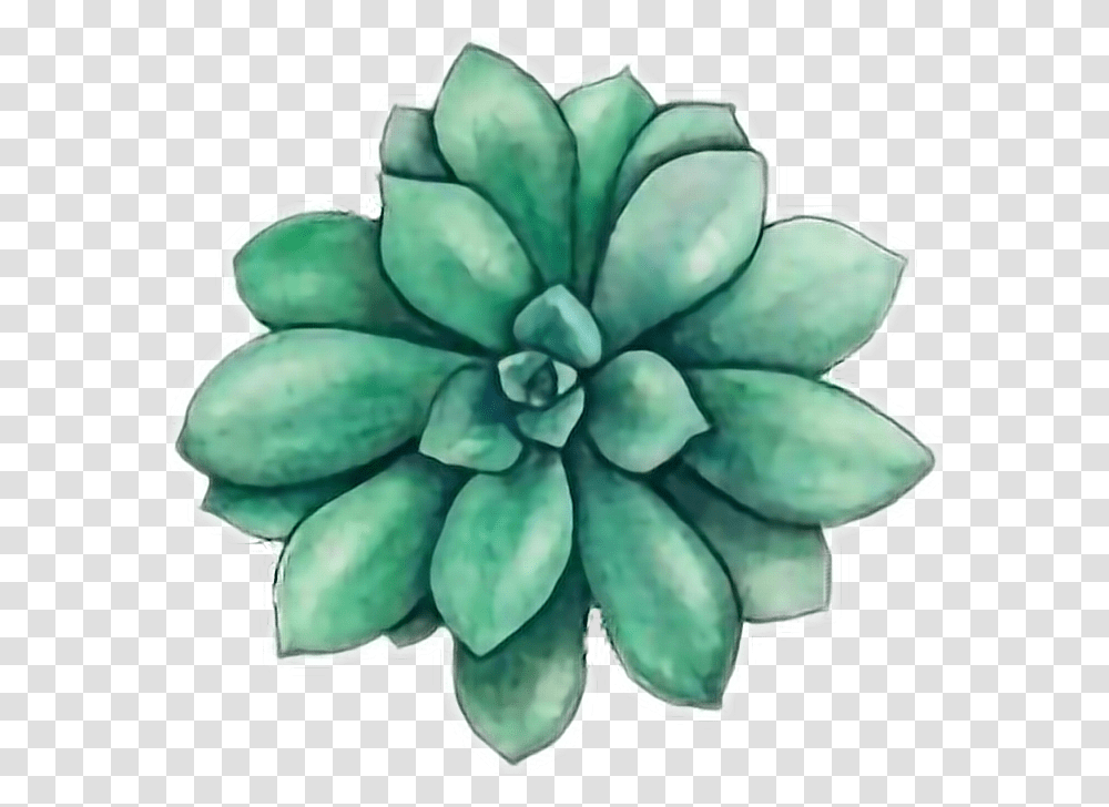 Succulents Drawing Succulents Tumblr Drawing, Jade, Gemstone, Ornament, Jewelry Transparent Png