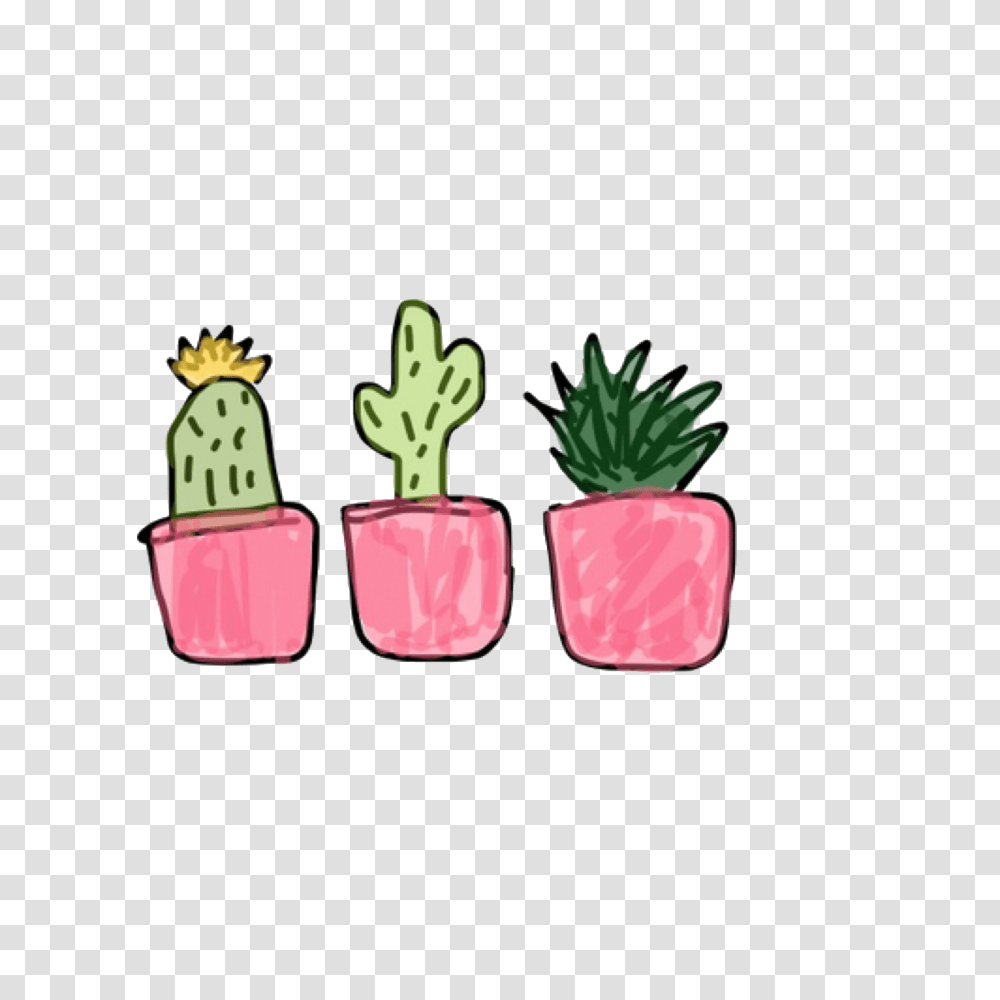 Succulents Green Plants Cute Free Stickers Freetoedit, Vegetable, Food, Produce, Root Transparent Png