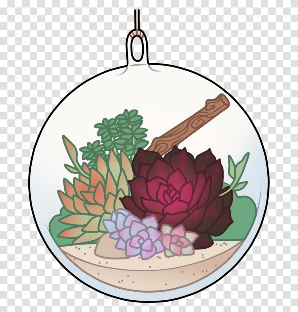 Succulents, Plant, Birthday Cake, Food, Vegetable Transparent Png