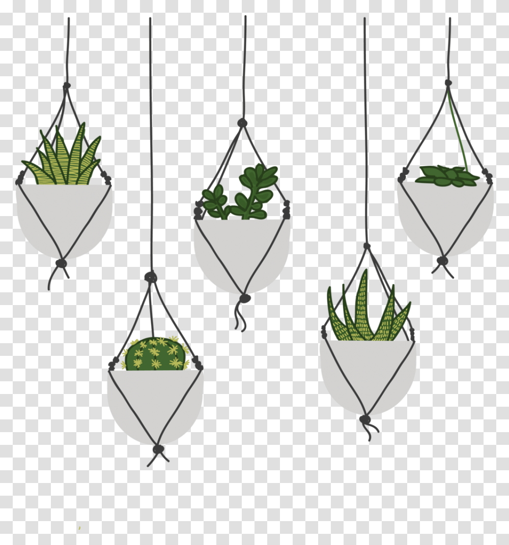 Succulents, Plant, Jar, Bird Feeder, Potted Plant Transparent Png