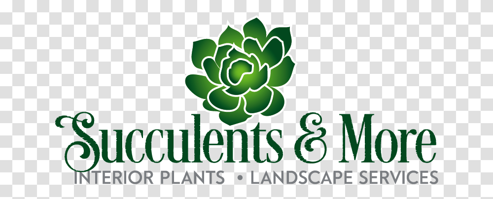 Succulents & More Stonecrop Family, Graphics, Art, Green, Plant Transparent Png