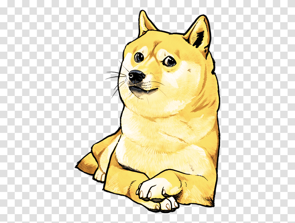 Such Art Such Yellow Doge, Wildlife, Animal, Mammal, Cat Transparent Png