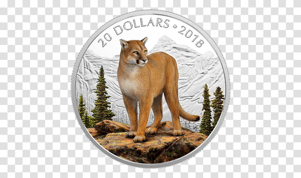 Suche Silbermnze Majesttischen Tierwelt 2019, Wildlife, Animal, Mammal, Cougar Transparent Png