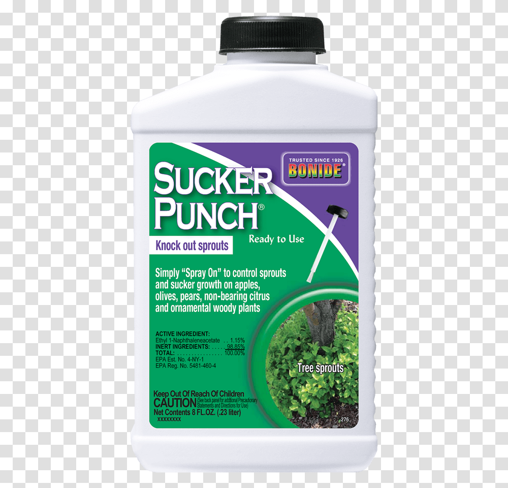 Sucker Bonide Sucker Punch, Advertisement, Poster, Flyer, Paper Transparent Png