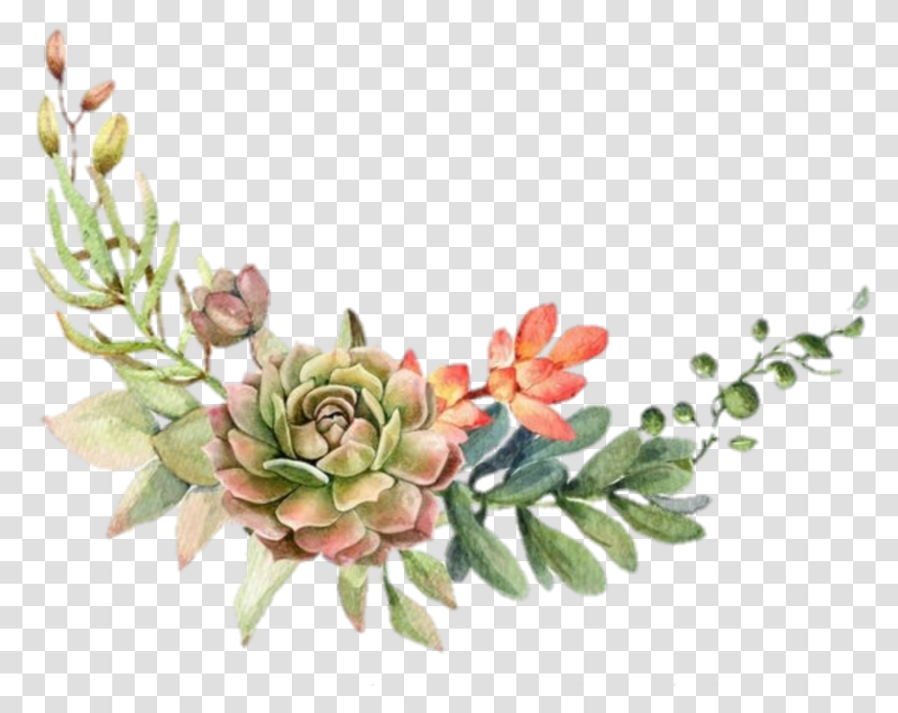 Suculentas Watercolor Cactus Frame, Plant, Potted Plant, Vase, Jar Transparent Png