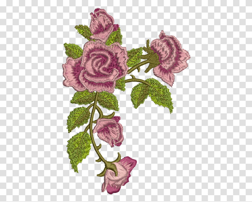 Sue Box Creations Rose Flower Embroidery, Plant, Blossom, Pattern, Acanthaceae Transparent Png