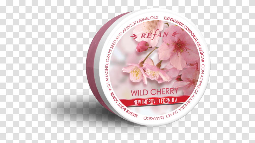 Sugar Body Srub, Plant, Flower, Blossom, Cherry Blossom Transparent Png