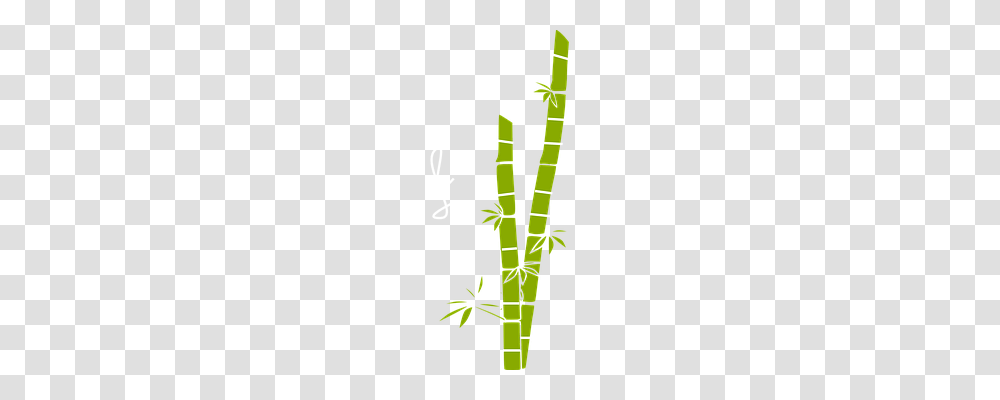 Sugar Cane Nature, Plant, Bamboo, Utility Pole Transparent Png