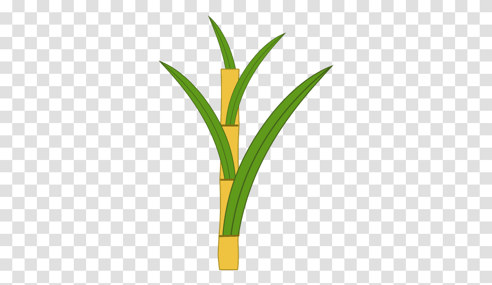 Sugar Cane Icon And Svg Vector Free Download Vertical, Plant, Produce, Food, Leek Transparent Png