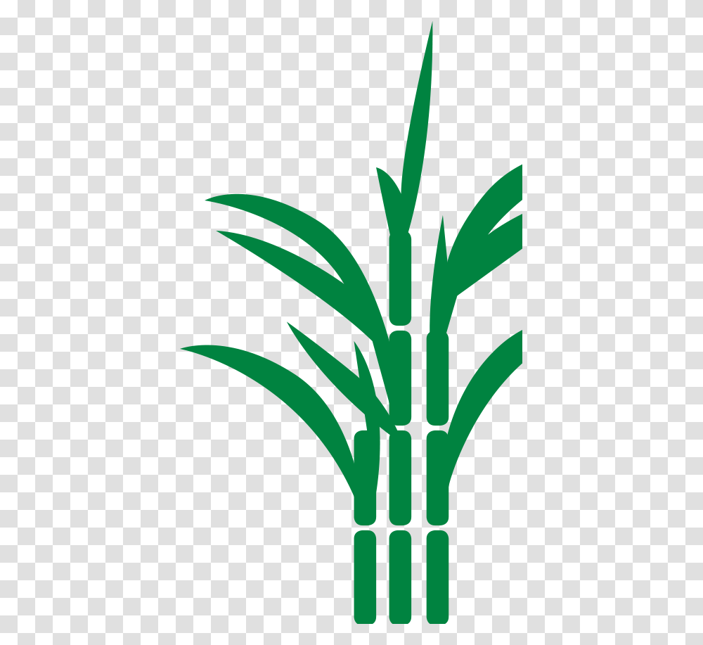 Sugar Cane Icon Download, Plant, Bamboo, Bamboo Shoot, Vegetable Transparent Png