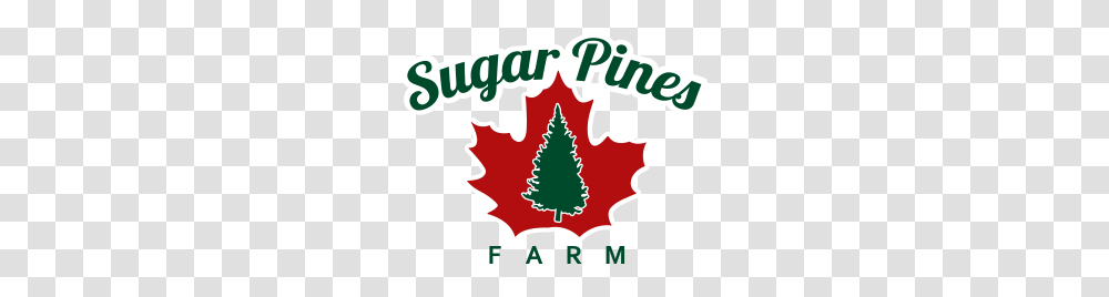 Sugar Pines Farm Operation Evergreen, Leaf, Plant, Tree, Maple Transparent Png