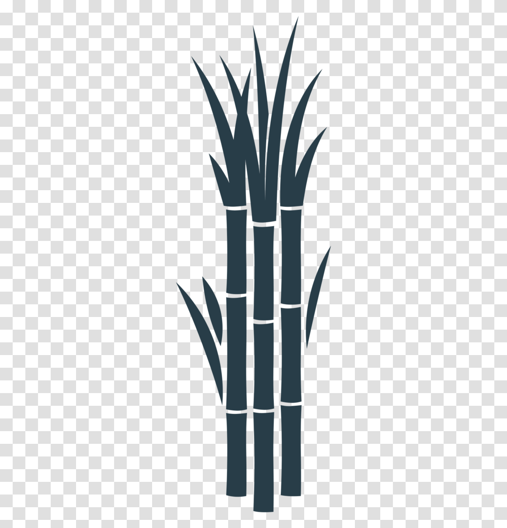 Sugarcane 01 Illustration, Plant, Bamboo Transparent Png