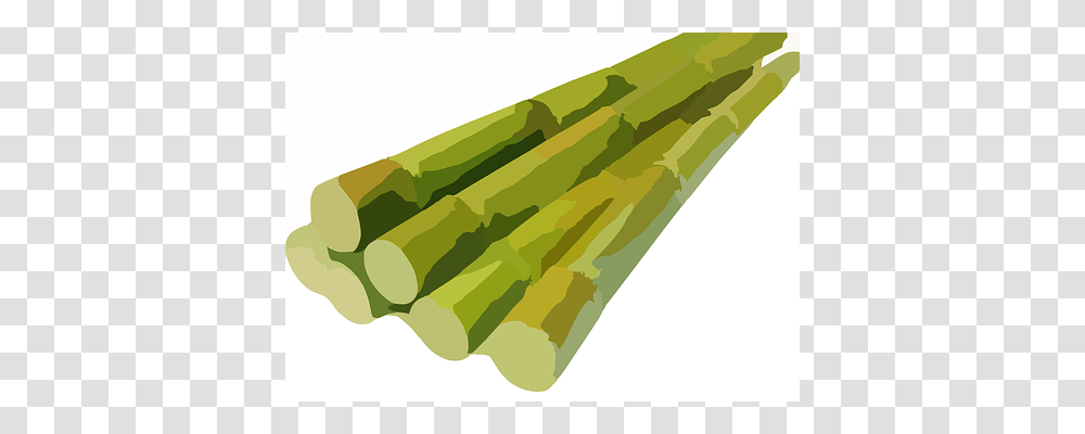 Sugarcane Plant, Vegetable, Food, Asparagus Transparent Png