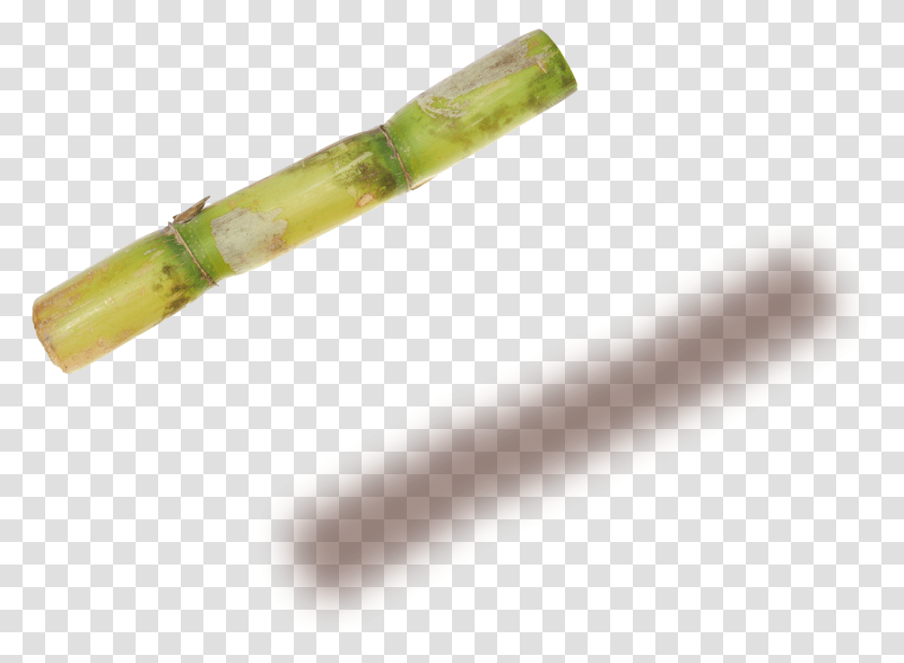 Sugarcane Copy Amber, Plant, Food, Stick, Vegetable Transparent Png