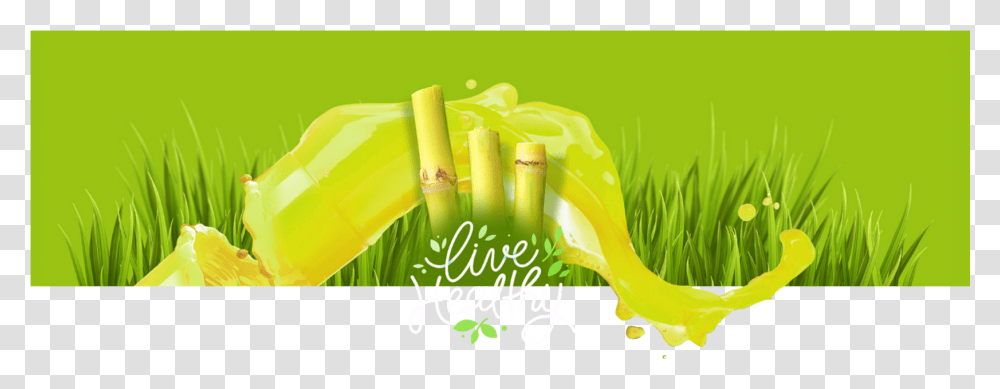 Sugarcane Sugar Cane Juice, Green, Plant, Bamboo, Bamboo Shoot Transparent Png
