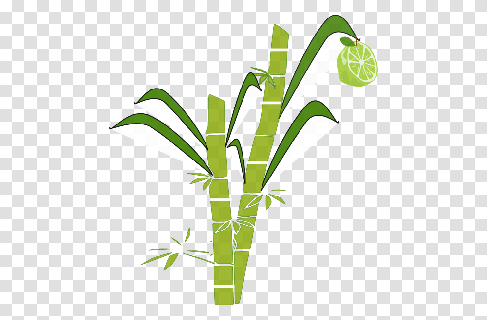 Sugary Clip Art, Plant, Bamboo Transparent Png