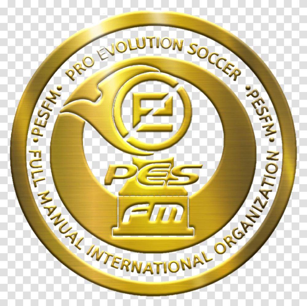 Suicide Squad Fm Pro Evolution Logo, Gold, Symbol, Trademark, Emblem Transparent Png