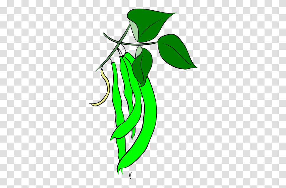 Suitor Clipart, Plant, Produce, Food, Green Bean Transparent Png