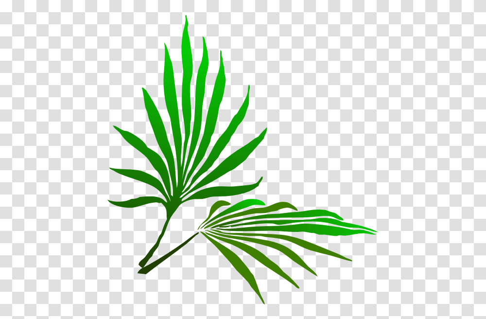 Sukkot Palm Branch Clip Art Palm Sunday, Green, Leaf, Plant, Vegetation Transparent Png