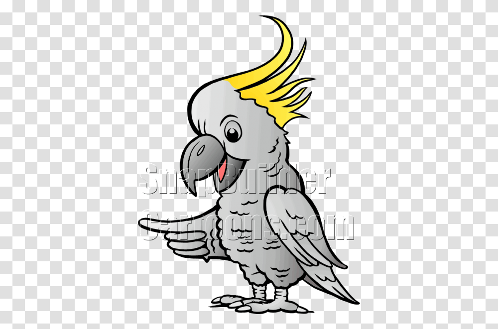 Sulphur Cockatoo Pointing Left Illustration, Parrot, Bird, Animal, Poster Transparent Png
