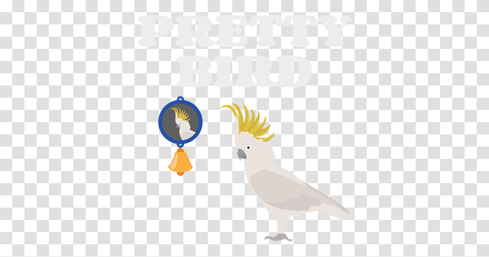 Sulphur Crested Cockatoo, Bird, Animal, Parrot Transparent Png