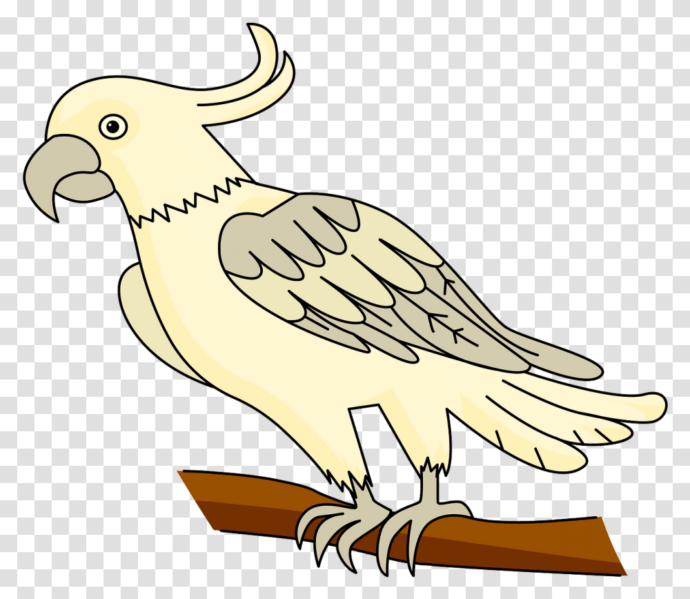 Sulphur Crested Cockatoo, Vulture, Bird, Animal, Axe Transparent Png