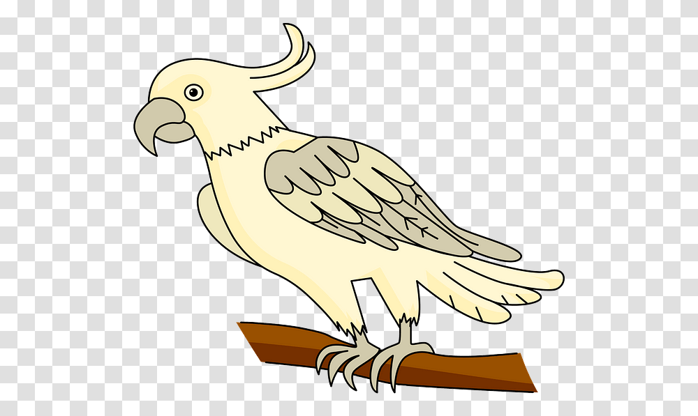 Sulphur Crested Cockatoo, Vulture, Bird, Animal, Axe Transparent Png