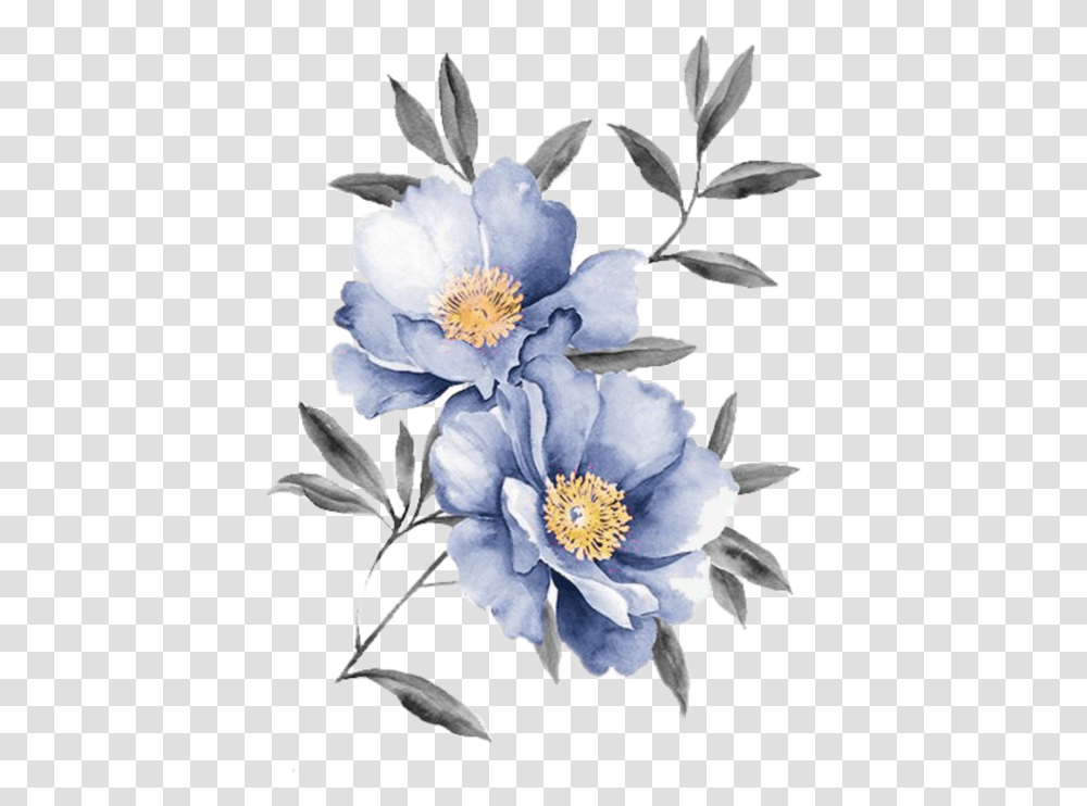 Sulu Boya, Anemone, Flower, Plant, Anther Transparent Png