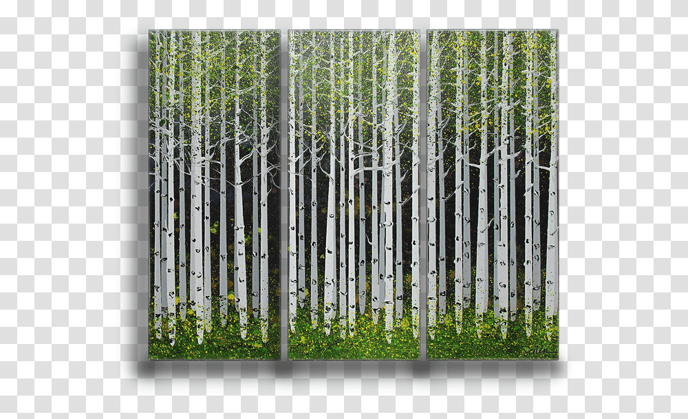 Summer Aspen Trees 3 Aspen Tree Summer, Gate, Plant, Bamboo, Fence Transparent Png