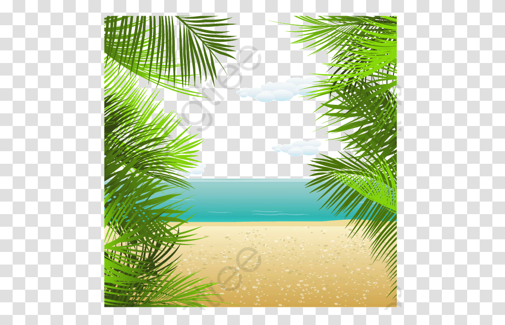 Summer Background, Tree, Plant, Tropical, Outdoors Transparent Png