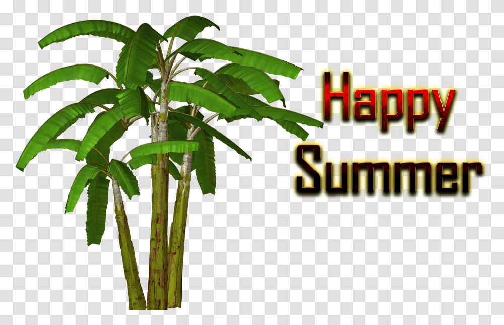 Summer Banana Tree Clipart, Plant, Bamboo, Flower, Blossom Transparent Png
