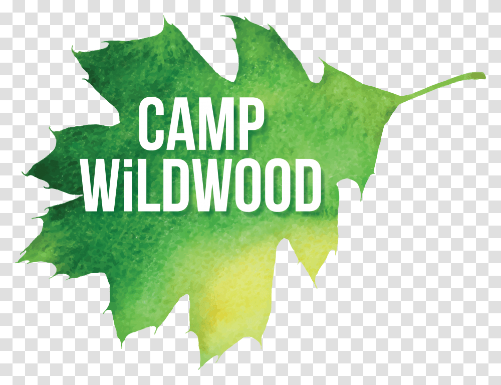 Summer Camp Logo Wildwood Outdoor Education Center Graphic Design, Leaf, Plant, Green, Vegetation Transparent Png