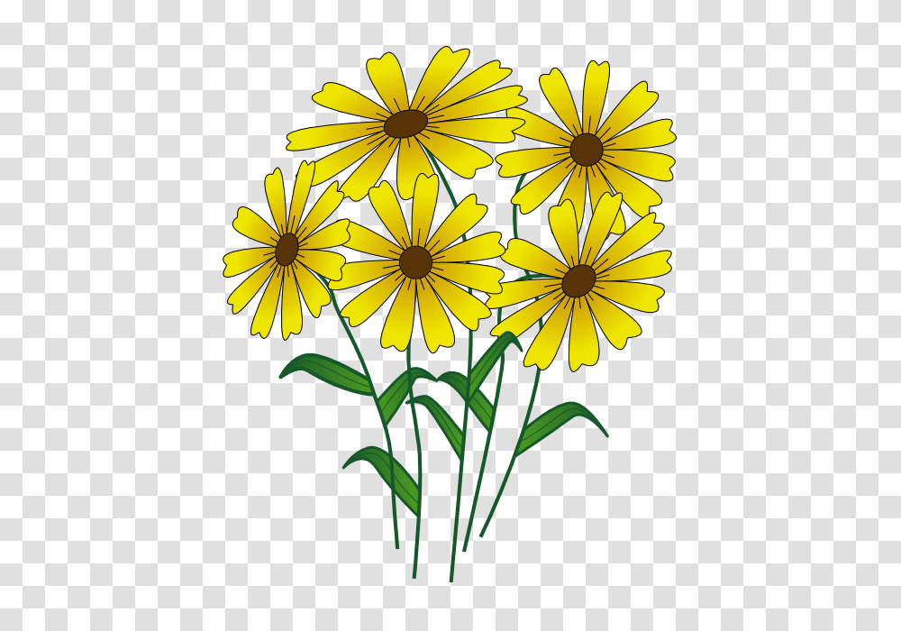 Summer Clip Art, Plant, Flower, Blossom, Daisy Transparent Png