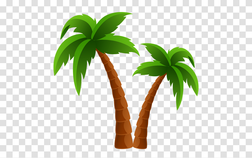 Summer Clip Palm Palm Tree, Plant, Arecaceae Transparent Png