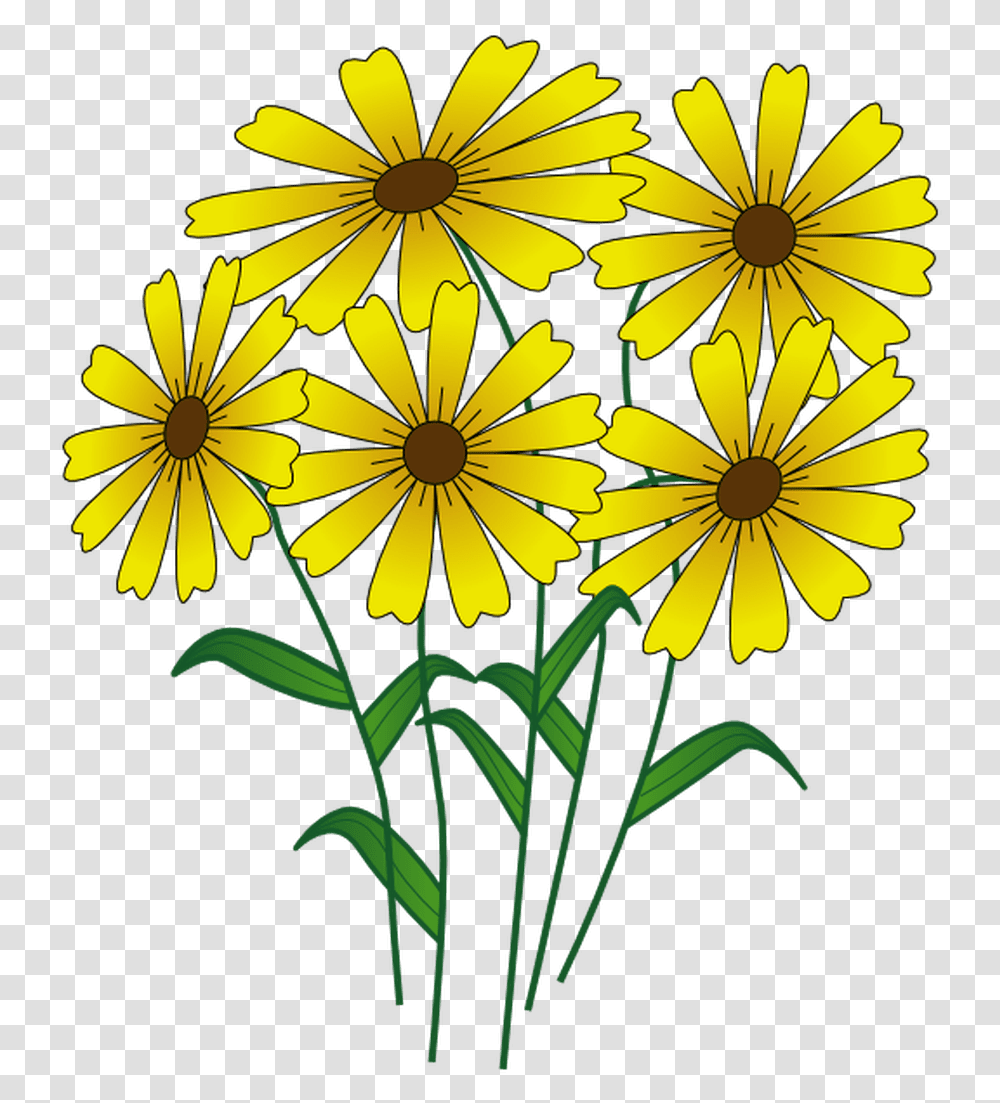 Summer Clipart Nice Flowers Cartoon, Plant, Blossom, Daisy, Daisies Transparent Png