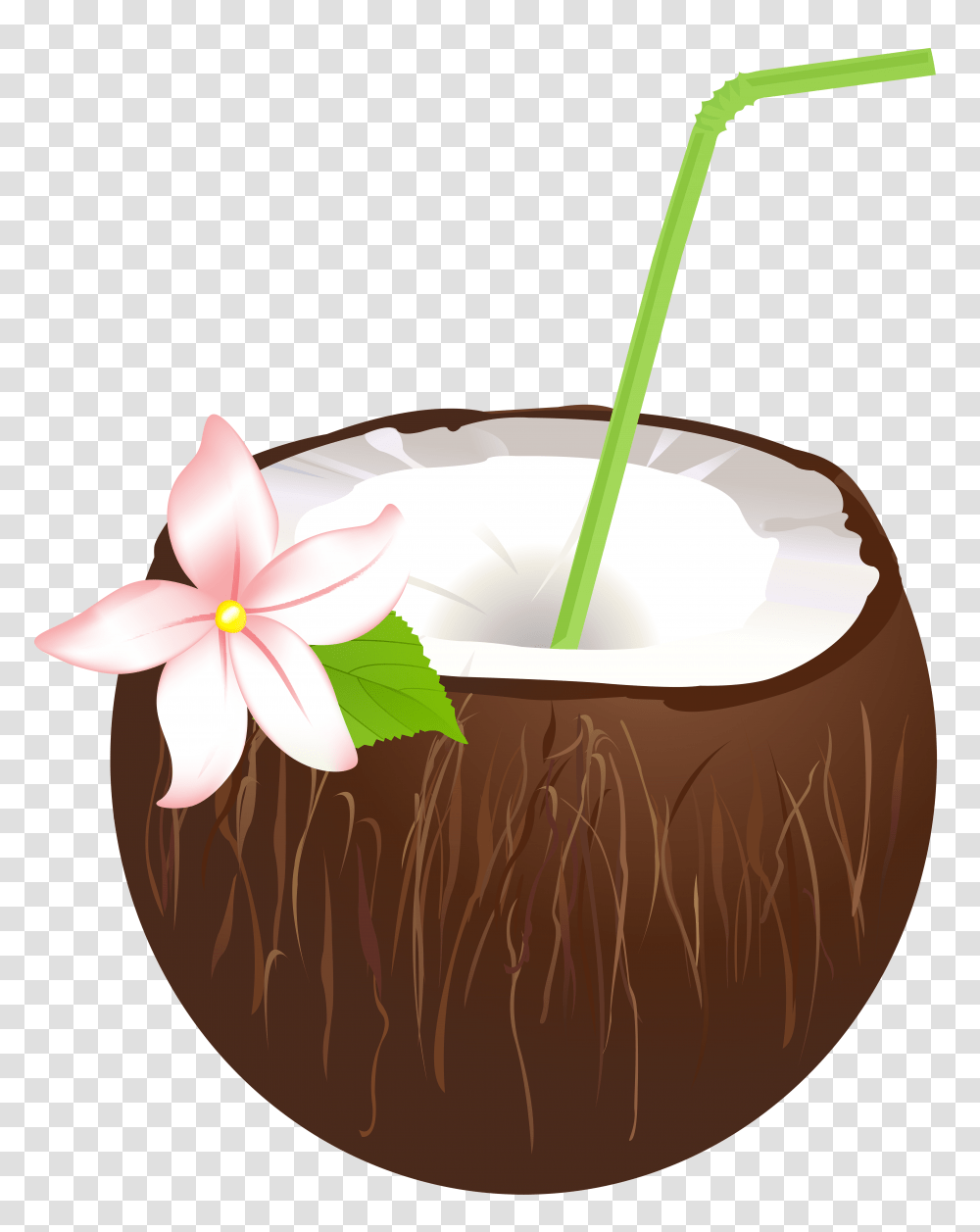 Summer Coconut Drink Clip Art, Plant, Vegetable, Food, Fruit Transparent Png