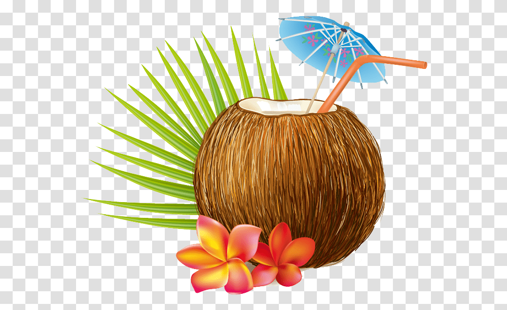 Summer Coconut Vector, Plant, Vegetable, Food, Fruit Transparent Png