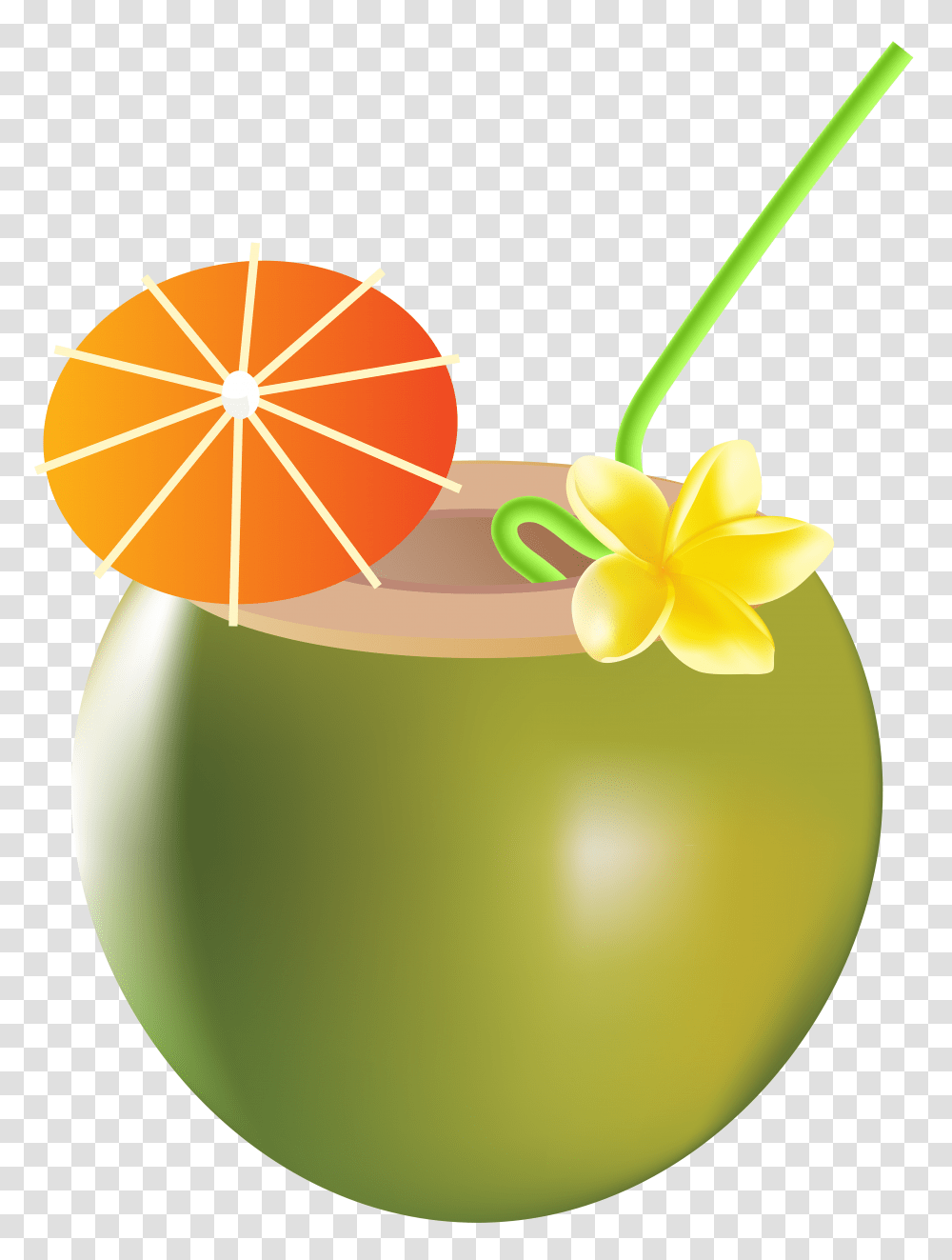 Summer Drink Clip Art, Plant, Floral Design, Pattern Transparent Png