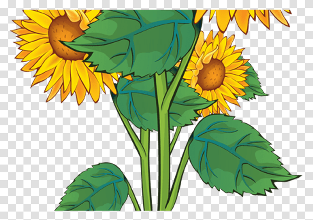 Summer Flower Border Clip Art Free Gardening Flower Sunflower That Went Flop, Plant, Daisy, Petal, Painting Transparent Png