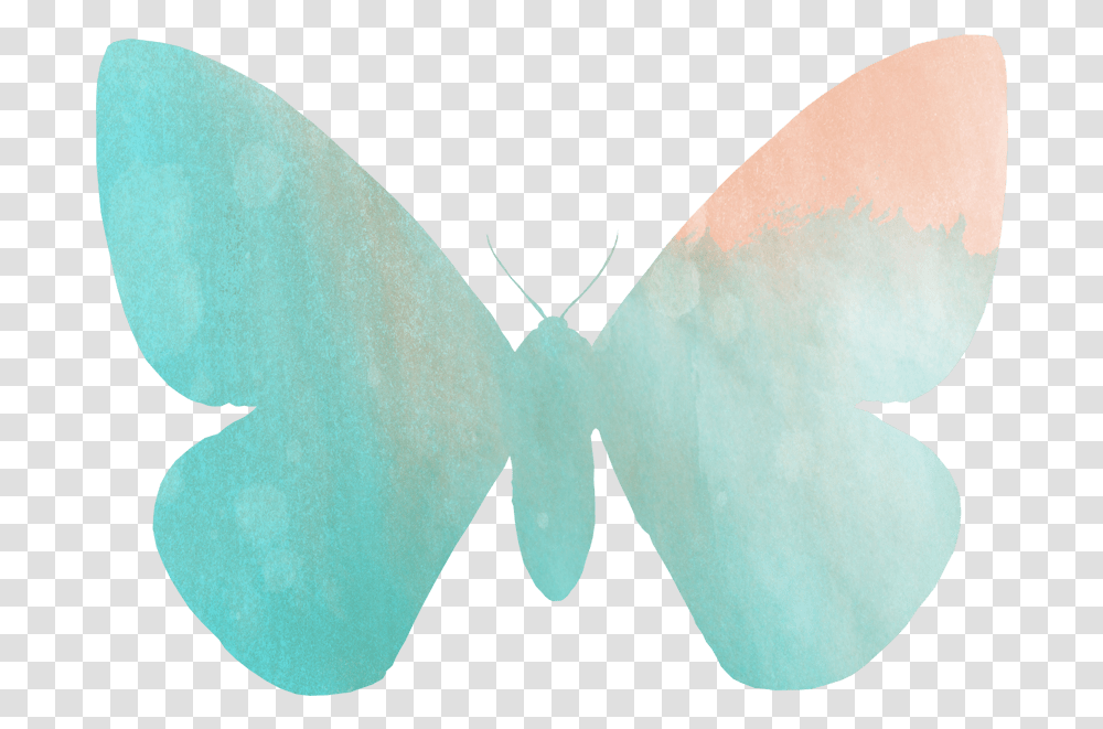 Summer Freebies Butterfly Coloring Pages & Clip Art Lycaenid, Text, Plectrum, Face, Pattern Transparent Png