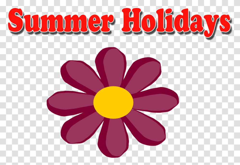 Summer Holidays Image Ajay Sahu, Petal, Flower, Plant, Daisy Transparent Png