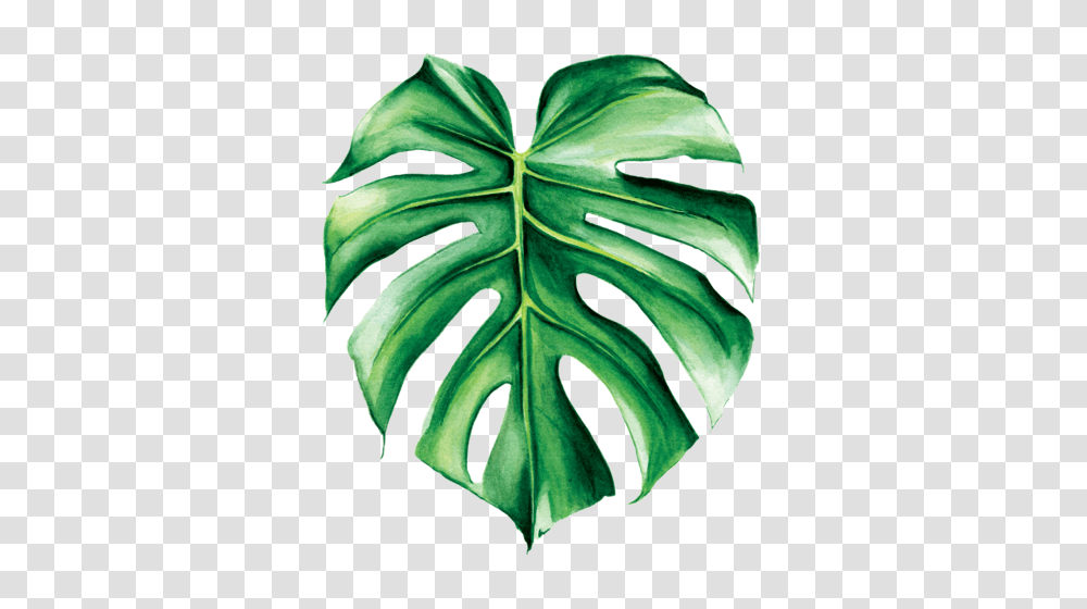 Summer, Leaf, Plant, Glove Transparent Png