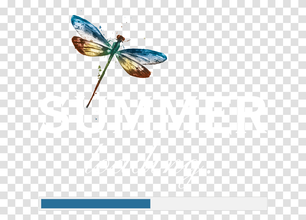 Summer Loading Logo Hopes The Best Of Nightwish, Animal, Insect, Invertebrate Transparent Png
