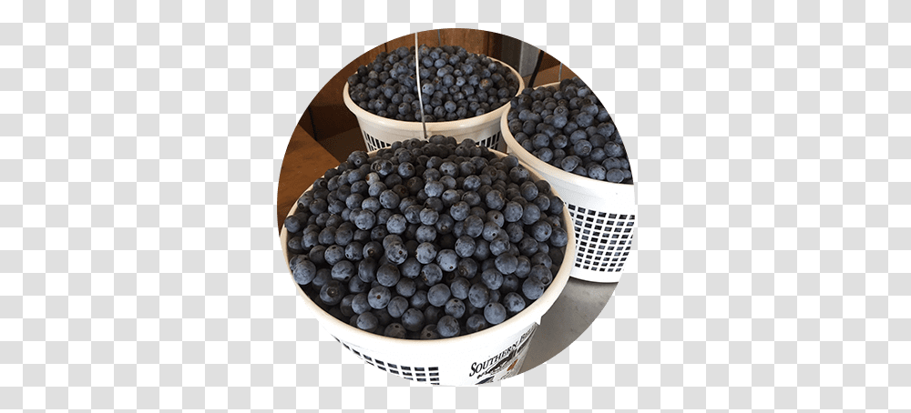 Summer Maqui, Blueberry, Fruit, Plant, Food Transparent Png