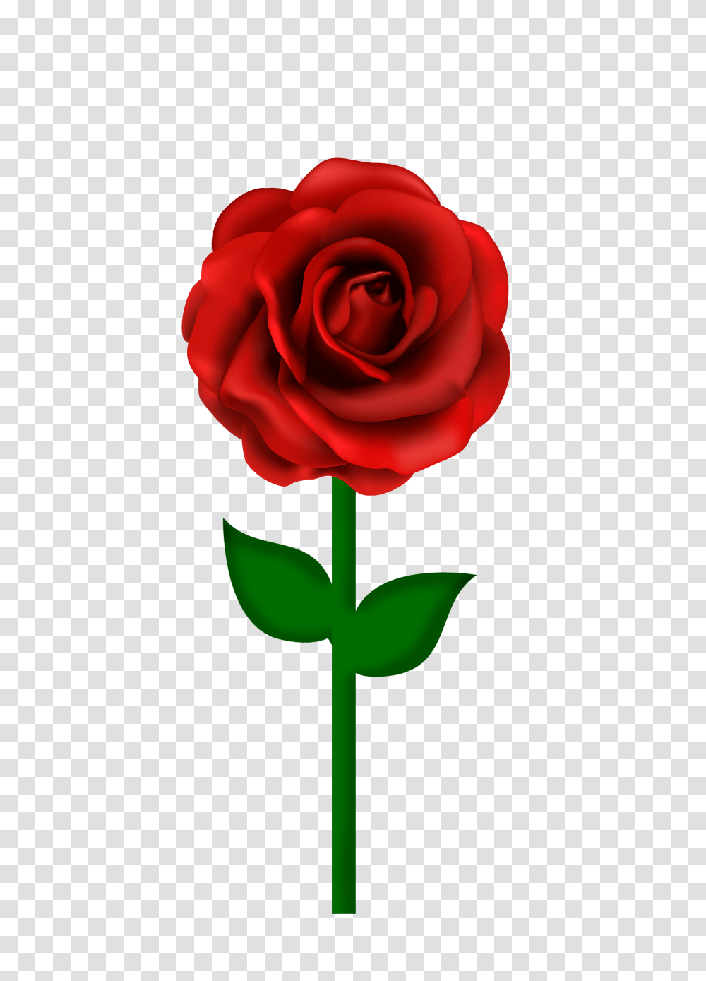 Summer Memories, Rose, Flower, Plant, Blossom Transparent Png